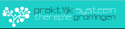 Praktijk Systeemtherapie Groningen