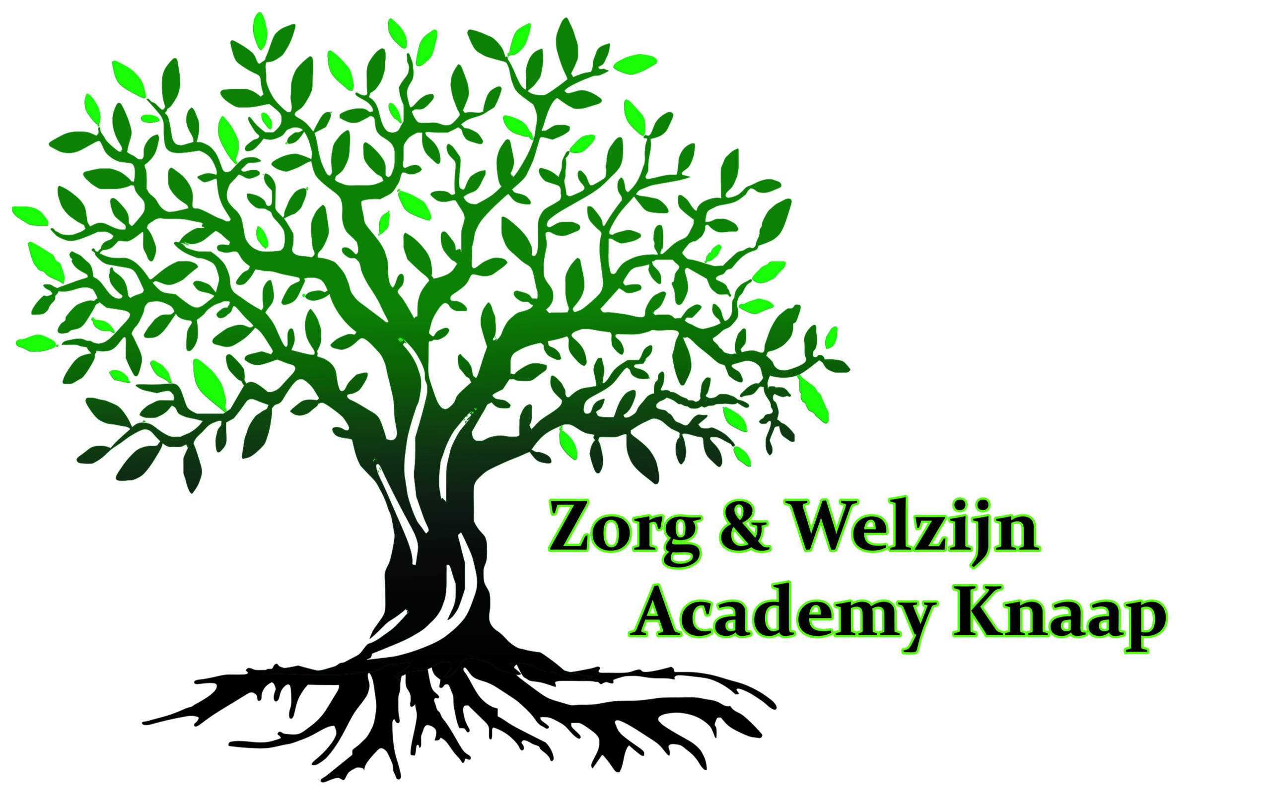 Zorg en Welzijn Academy Knaap B.V.